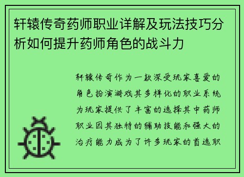 轩辕传奇药师职业详解及玩法技巧分析如何提升药师角色的战斗力